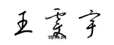 梁锦英王雯宇草书个性签名怎么写