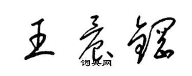 梁锦英王晨钢草书个性签名怎么写