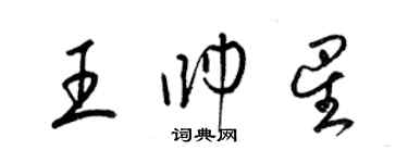 梁锦英王帅星草书个性签名怎么写