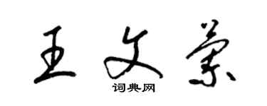 梁锦英王文兰草书个性签名怎么写