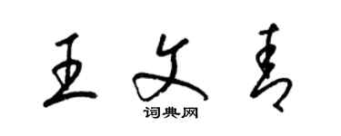 梁锦英王文青草书个性签名怎么写