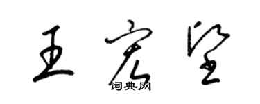梁锦英王宏坚草书个性签名怎么写