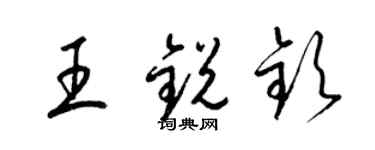 梁锦英王锐钦草书个性签名怎么写