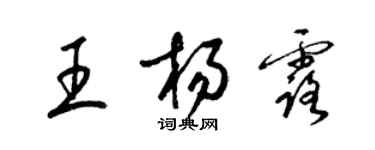 梁锦英王杨露草书个性签名怎么写