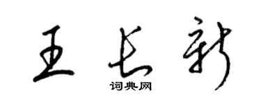 梁锦英王长新草书个性签名怎么写