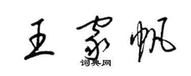 梁锦英王家帆草书个性签名怎么写
