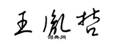 梁锦英王胤哲草书个性签名怎么写