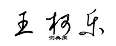 梁锦英王柯乐草书个性签名怎么写