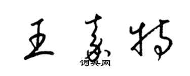 梁锦英王嘉特草书个性签名怎么写