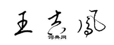 梁锦英王吉凤草书个性签名怎么写