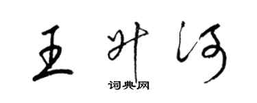 梁锦英王升河草书个性签名怎么写