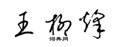 梁锦英王柳烽草书个性签名怎么写