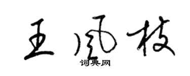 梁锦英王风枝草书个性签名怎么写