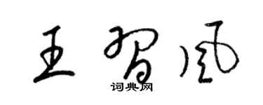 梁锦英王习风草书个性签名怎么写