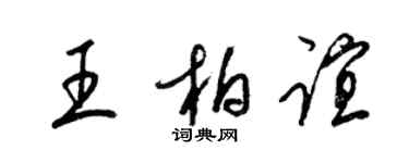 梁锦英王柏谊草书个性签名怎么写