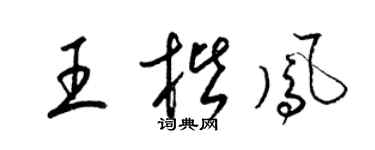 梁锦英王楷凤草书个性签名怎么写