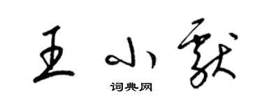梁锦英王小献草书个性签名怎么写