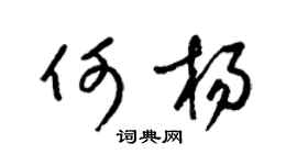 梁锦英何杨草书个性签名怎么写