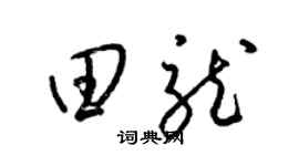 梁锦英田龙草书个性签名怎么写