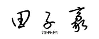 梁锦英田子豪草书个性签名怎么写