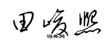 梁锦英田峻熙草书个性签名怎么写