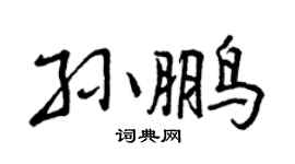 曾庆福孙鹏行书个性签名怎么写