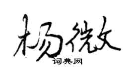 曾庆福杨微行书个性签名怎么写