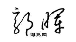 梁锦英郭晖草书个性签名怎么写