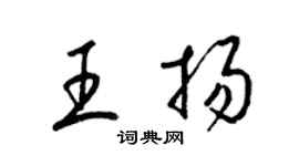 梁锦英王扬草书个性签名怎么写