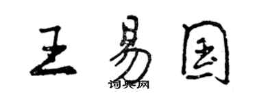 曾庆福王易国行书个性签名怎么写