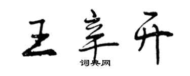 曾庆福王辛开行书个性签名怎么写
