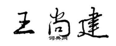 曾庆福王尚建行书个性签名怎么写