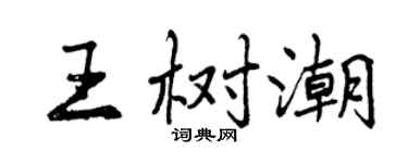 曾庆福王树潮行书个性签名怎么写