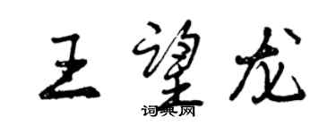 曾庆福王望龙行书个性签名怎么写
