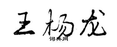 曾庆福王杨龙行书个性签名怎么写