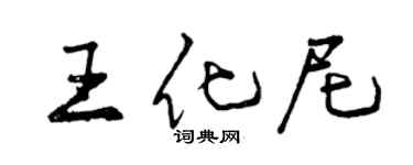 曾庆福王化尼行书个性签名怎么写