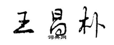 曾庆福王昌朴行书个性签名怎么写