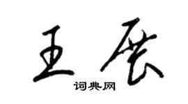 梁锦英王展草书个性签名怎么写