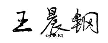 曾庆福王晨钢行书个性签名怎么写