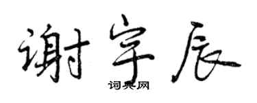 曾庆福谢宇辰行书个性签名怎么写