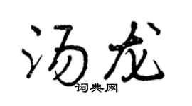 曾庆福汤龙行书个性签名怎么写