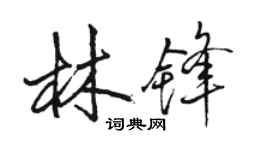 骆恒光林锋行书个性签名怎么写