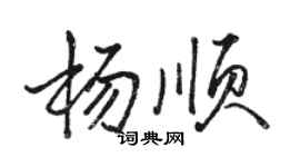 骆恒光杨顺行书个性签名怎么写