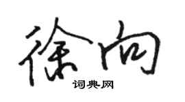 骆恒光徐向行书个性签名怎么写