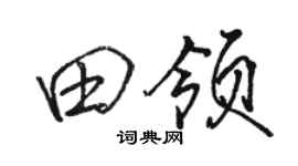 骆恒光田领行书个性签名怎么写