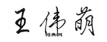 骆恒光王伟萌行书个性签名怎么写