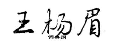 曾庆福王杨眉行书个性签名怎么写