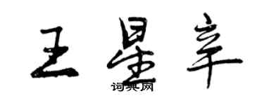 曾庆福王星辛行书个性签名怎么写