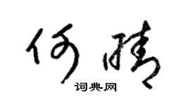 梁锦英何晴草书个性签名怎么写