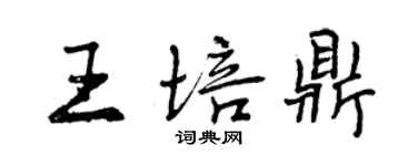 曾庆福王培鼎行书个性签名怎么写